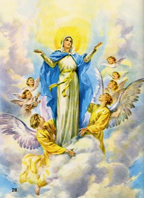 ĐỨC MARIA MẪU GƯƠNG CỦA LÒNG THƯƠNG XÓT